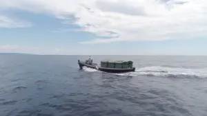 Watch film Matter Out of Place | Official Trailer