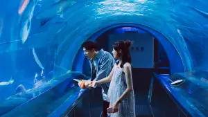 Backdrop to the movie "Lovesick" #620719