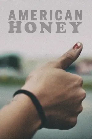 Poster to the movie "American Honey" #261743