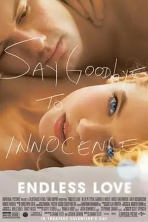 Poster to the movie "Endless Love" #765887