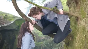 Backdrop to the movie "Twilight" #169006