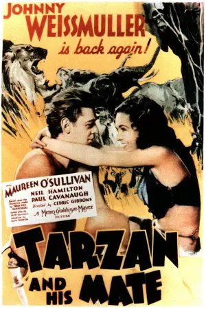 Poster to the movie "Tarzan and His Mate" #359455