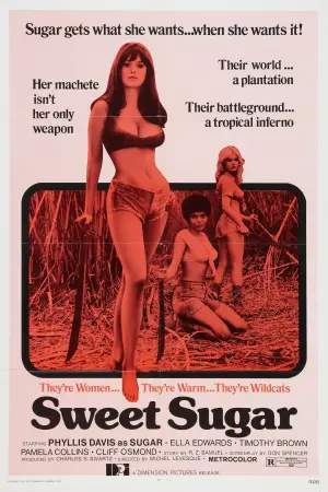 Poster to the movie "Sweet Sugar" #634624