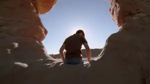 Backdrop to the movie "The Tree of Life" #852819
