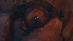 Backdrop to the movie "Leprechaun Revenge" #711682