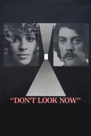 Poster to the movie "Don