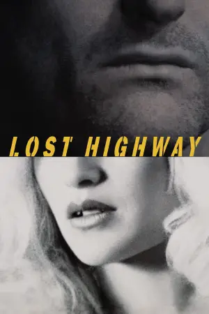 Poster to the movie "Lost Highway" #533664