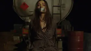 Backdrop to the movie "Open Windows" #438159