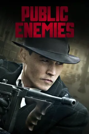 Poster to the movie "Public Enemies" #271251