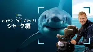 Backdrop to the movie "Sharks Up Close with Bertie Gregory" #793004