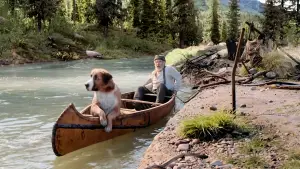 Backdrop to the movie "The Call of the Wild" #724312