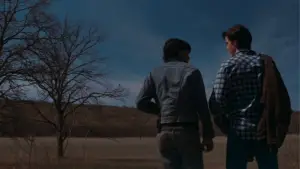 Backdrop to the movie "The Outsiders" #648909