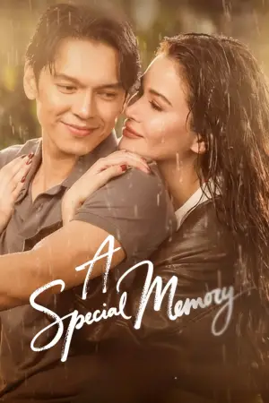 Poster to the movie "A Special Memory" #767122