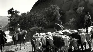 Backdrop to the movie "Riders in the Sky" #478181