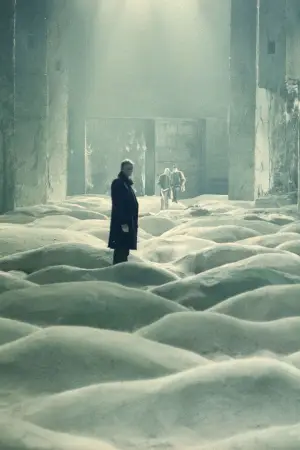 Poster to the movie "Stalker" #734137