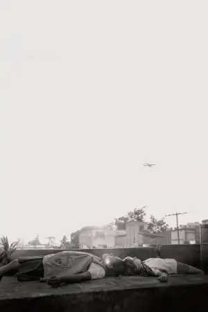 Poster to the movie "Roma" #868668