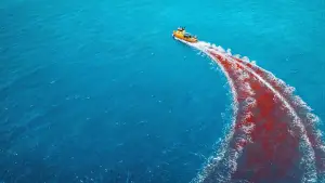 Backdrop to the movie "Dangerous Animals" #762301