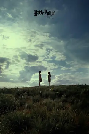 Poster to the movie "Harry Potter and the Deathly Hallows: Part 2" #166187