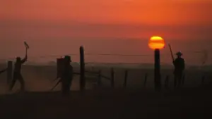 Backdrop to the movie "Cool Hand Luke" #754846