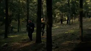 Backdrop to the movie "Secret of the Forest" #798281