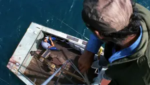 Backdrop to the movie "Jaws" #521052