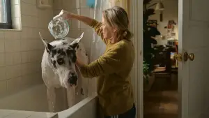 Backdrop to the movie "The Friend" #589072