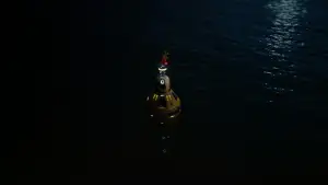 Backdrop to the movie "Love Me" #655037