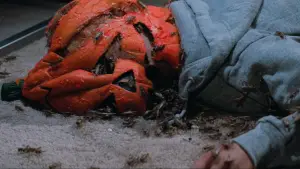 Backdrop to the movie "Halloween III: Season of the Witch" #882148