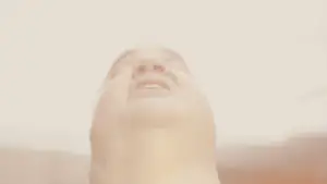 Backdrop to the movie "The Whale" #633830