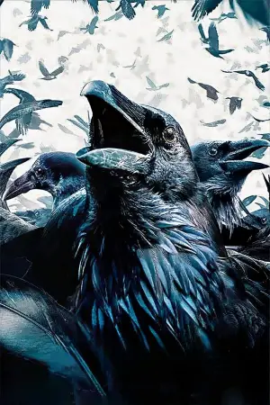 Poster to the movie "The Birds" #677258