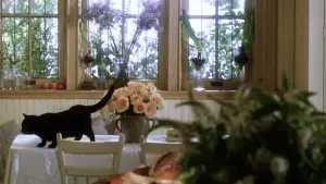 Backdrop to the movie "Practical Magic" #697215