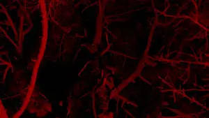 Backdrop to the movie "Birdeater" #664043