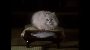 Backdrop to the movie "House" #221288