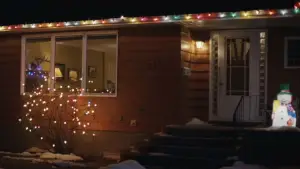 Backdrop to the movie "Silent Night, Deadly Night" #509627