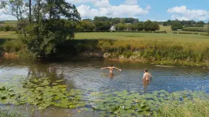 Backdrop to the movie "Un été à la ferme - L