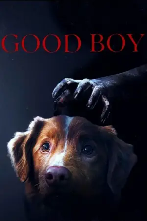Poster to the movie "Good Boy" #517432