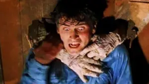 Backdrop to the movie "The Evil Dead" #637012