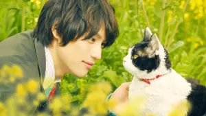 Backdrop to the movie "The Travelling Cat Chronicles" #424871