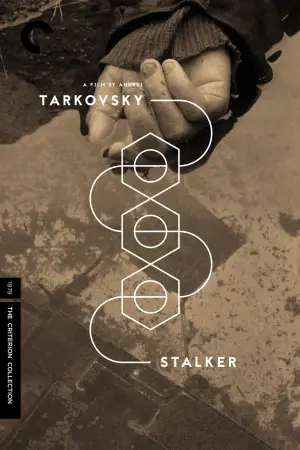 Poster to the movie "Stalker" #734143