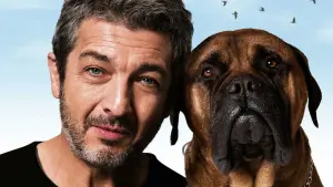 Watch film Truman | Official Trailer