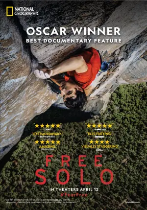 Poster to the movie "Free Solo" #621491