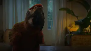 Backdrop to the movie "Tuesday" #532799