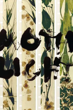 Poster to the movie "Mothlight" #703589