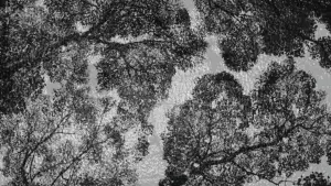 Backdrop to the movie "Perfect Days" #529659