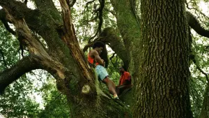 Backdrop to the movie "All Dirt Roads Taste of Salt" #377424