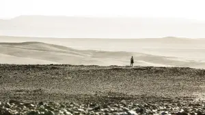 Backdrop to the movie "The Dark Tower" #165721