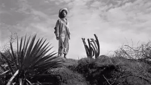 Backdrop to the movie "The Treasure of the Sierra Madre" #751651