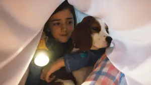 Backdrop to the movie "A Dog