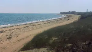 Backdrop to the movie "Jaws" #768246