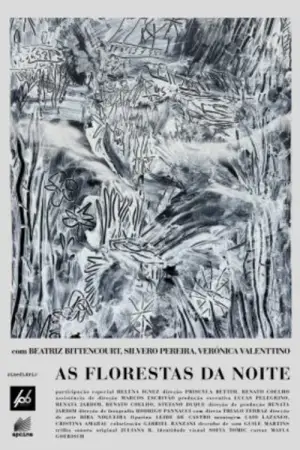 Poster to the movie "As Florestas da Noite" #566209
